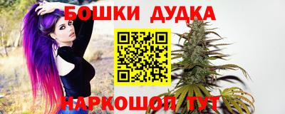 сатива Дмитров